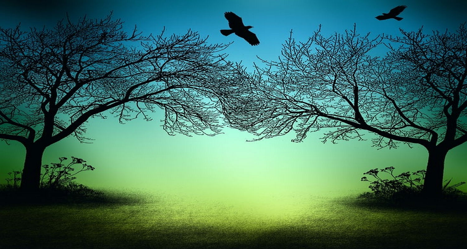 “Be wise as serpents and harmless as doves.” (Matthew 10:16)